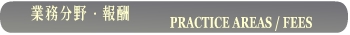 ƖEV   PRACTICE AREAS / FEES
